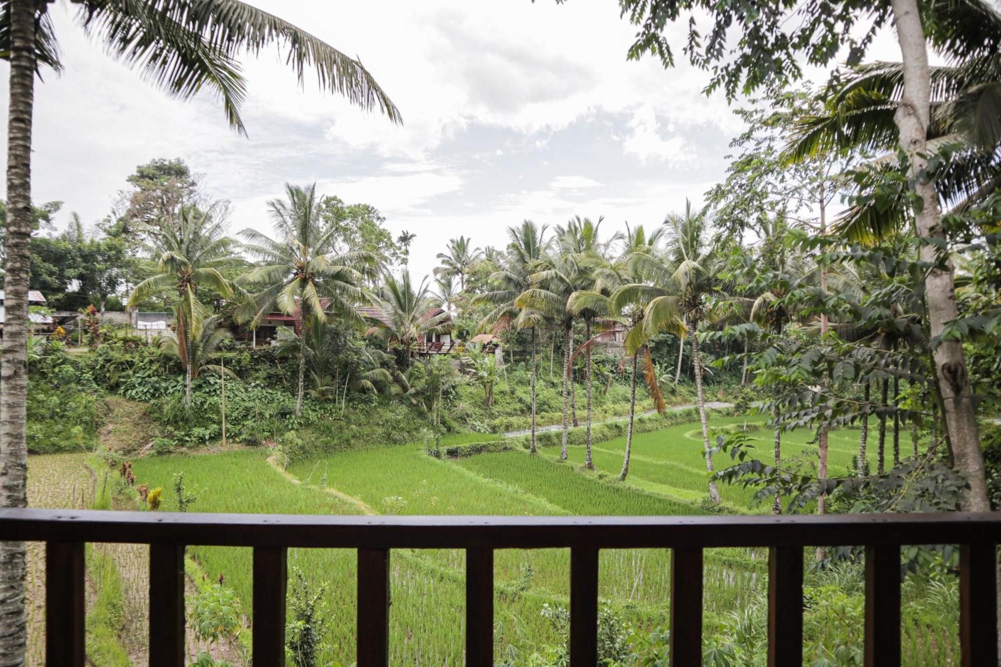 Nea Cottage Lombok Тетебату Екстер'єр фото