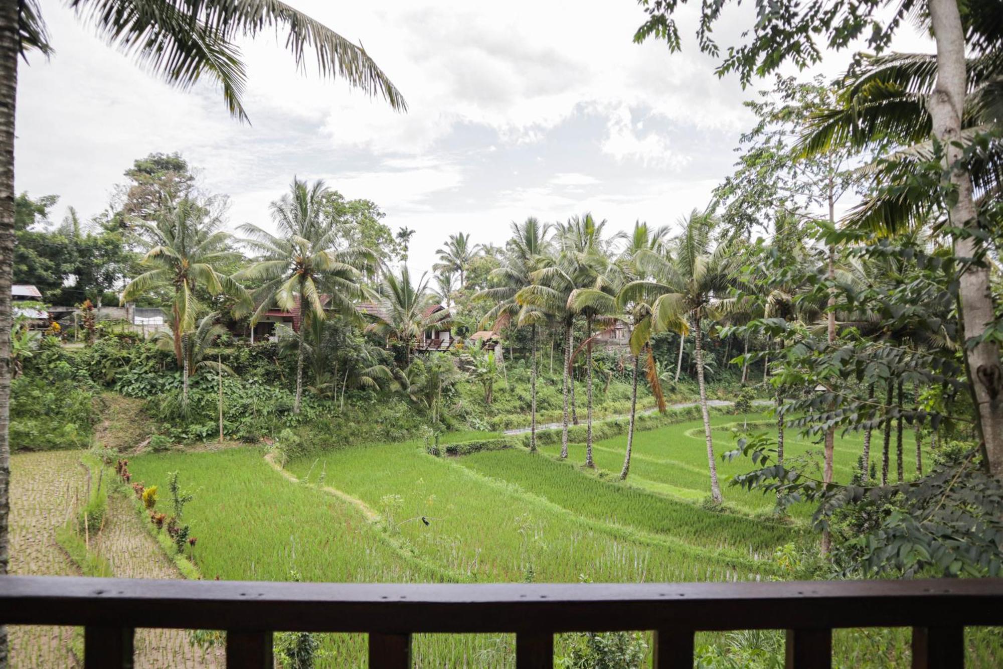 Nea Cottage Lombok Тетебату Екстер'єр фото