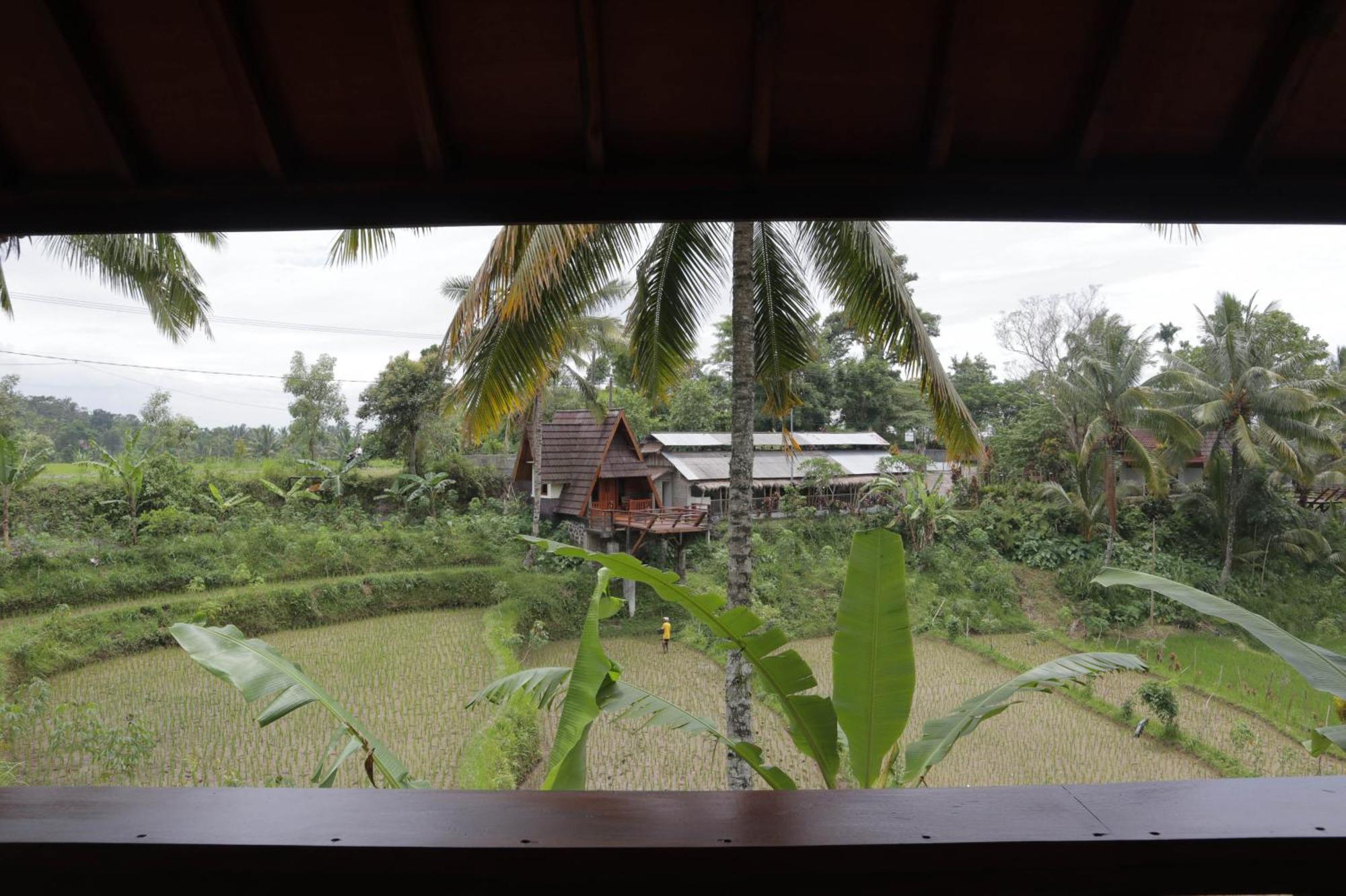 Nea Cottage Lombok Тетебату Екстер'єр фото