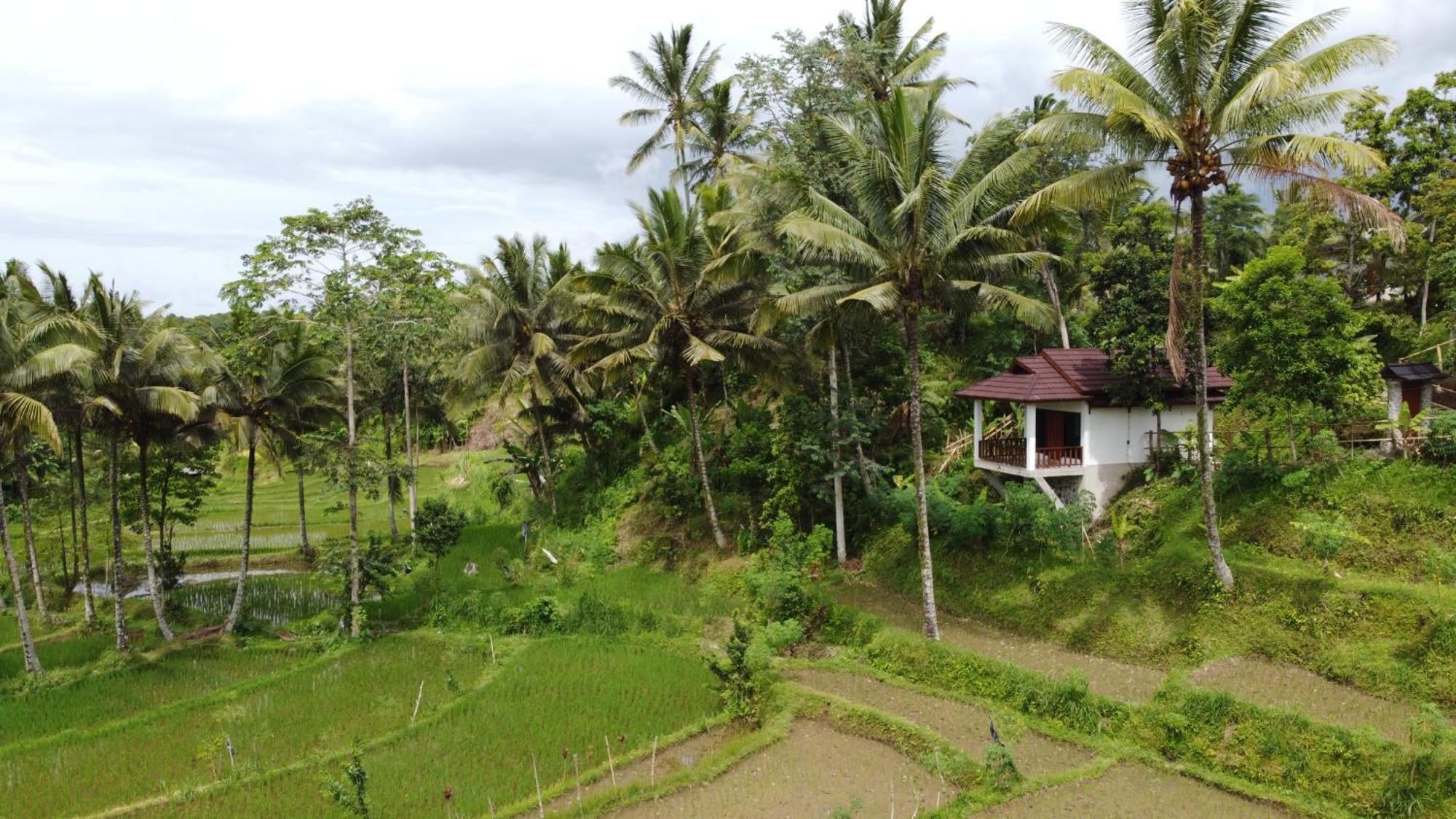 Nea Cottage Lombok Тетебату Екстер'єр фото