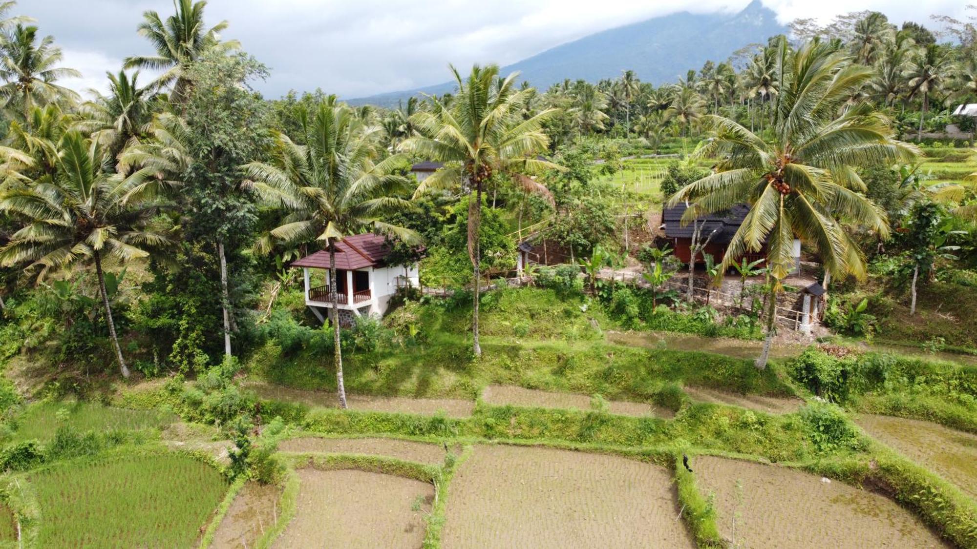 Nea Cottage Lombok Тетебату Екстер'єр фото