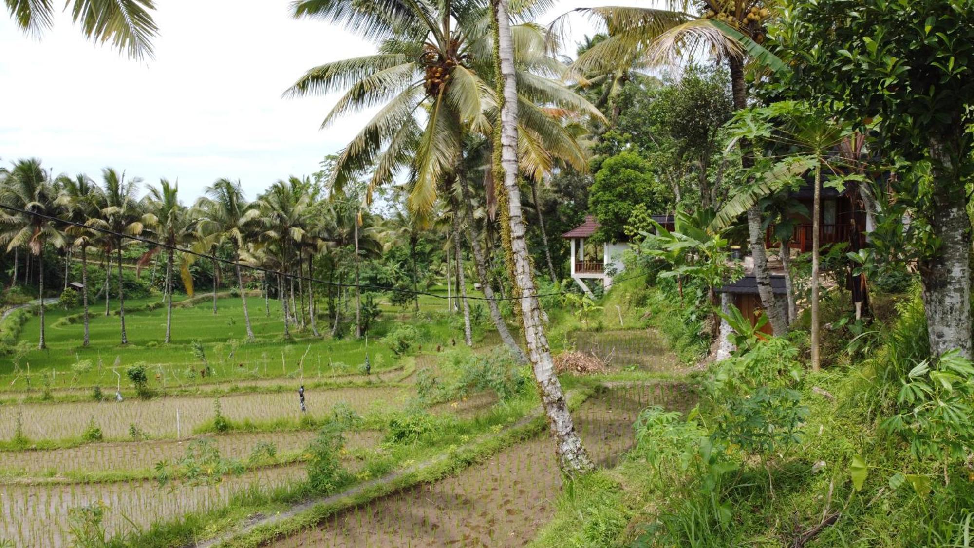 Nea Cottage Lombok Тетебату Екстер'єр фото