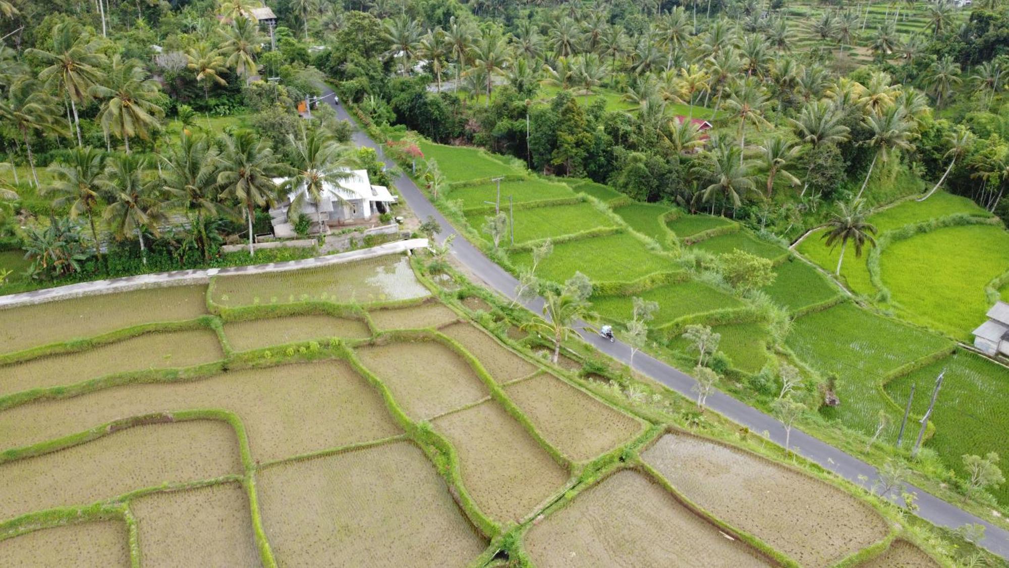 Nea Cottage Lombok Тетебату Екстер'єр фото