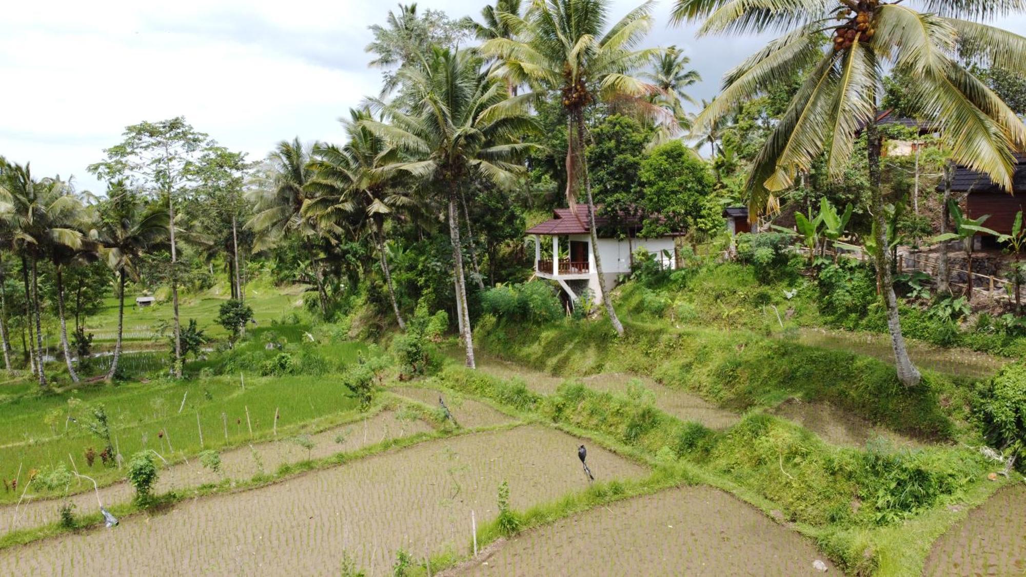 Nea Cottage Lombok Тетебату Екстер'єр фото