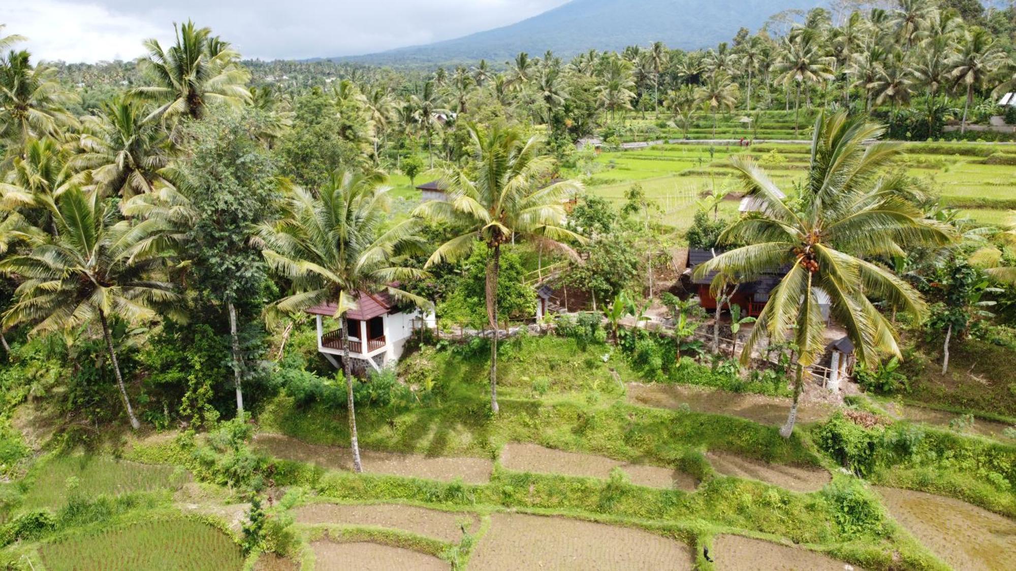 Nea Cottage Lombok Тетебату Екстер'єр фото