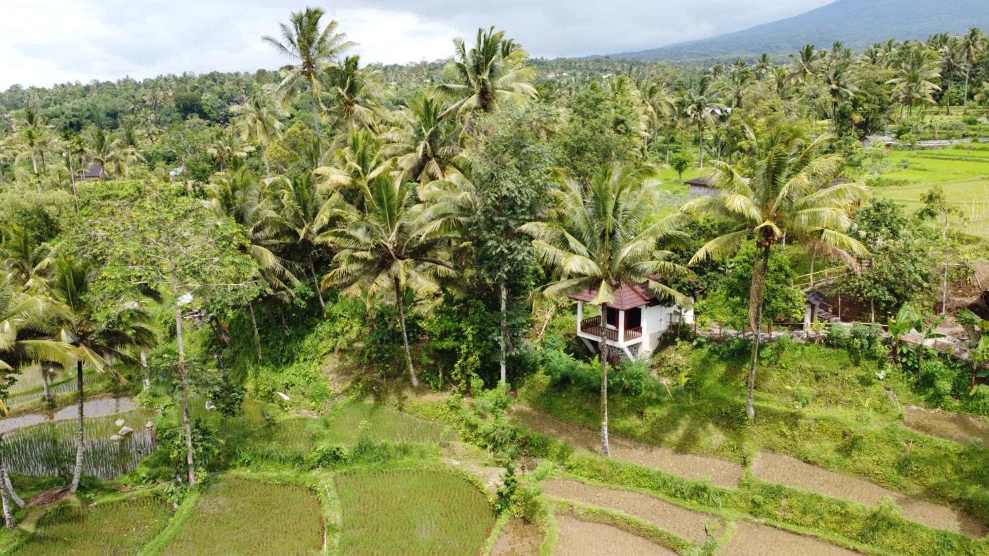 Nea Cottage Lombok Тетебату Екстер'єр фото