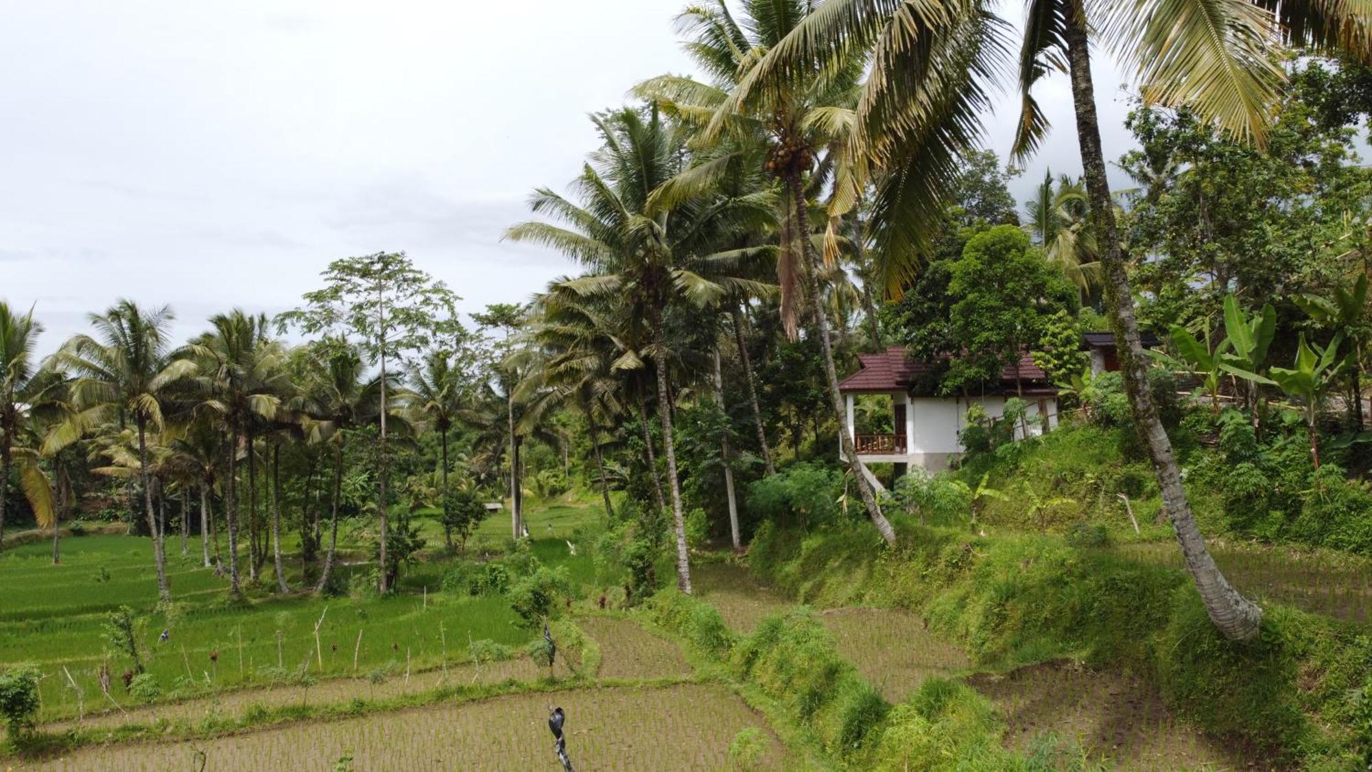 Nea Cottage Lombok Тетебату Екстер'єр фото
