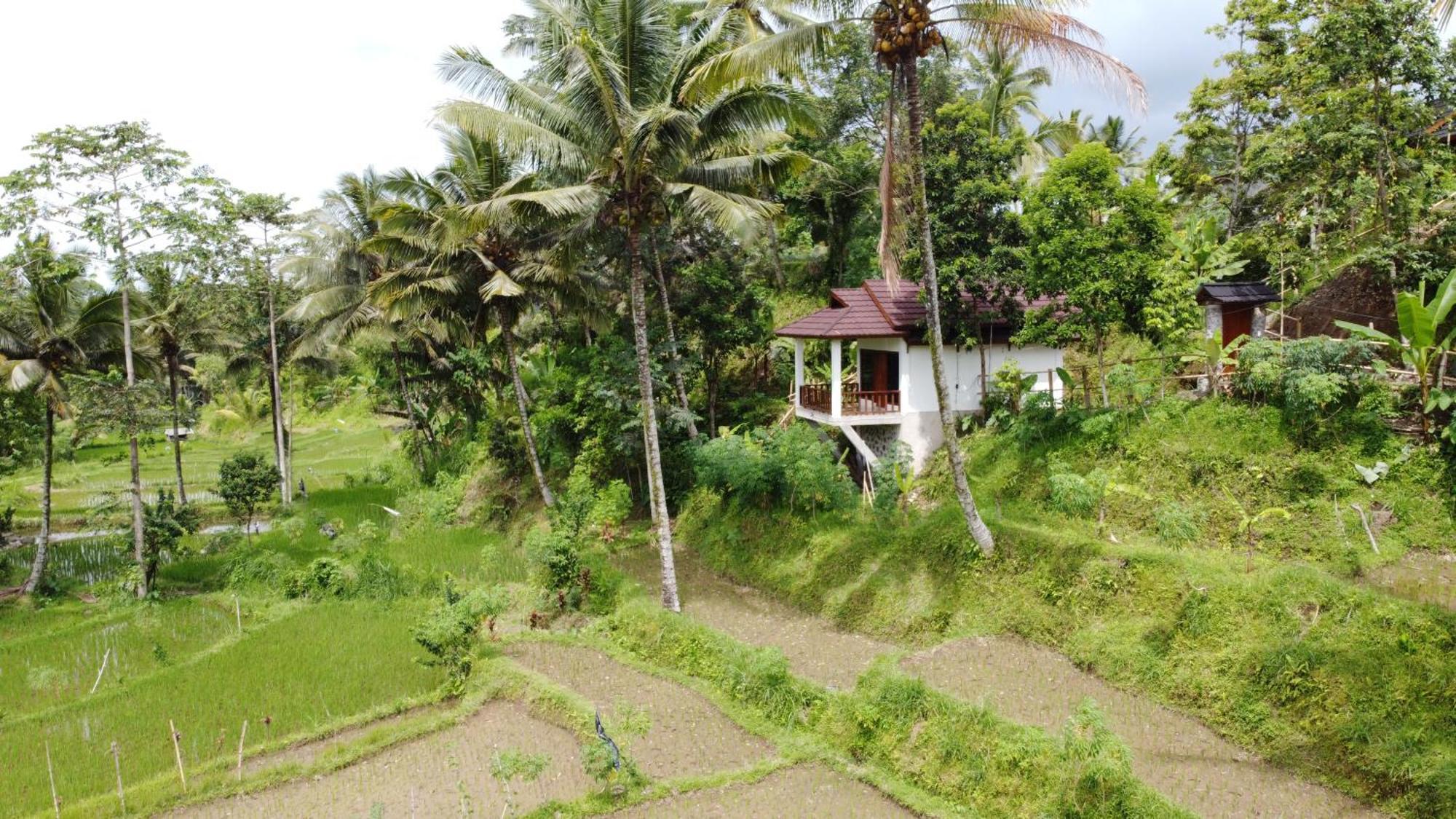 Nea Cottage Lombok Тетебату Екстер'єр фото