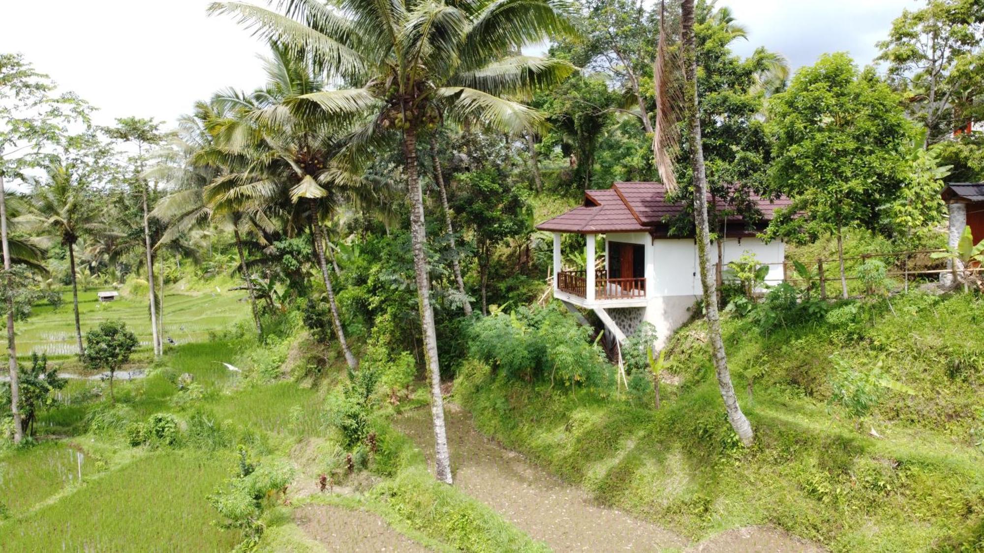 Nea Cottage Lombok Тетебату Екстер'єр фото