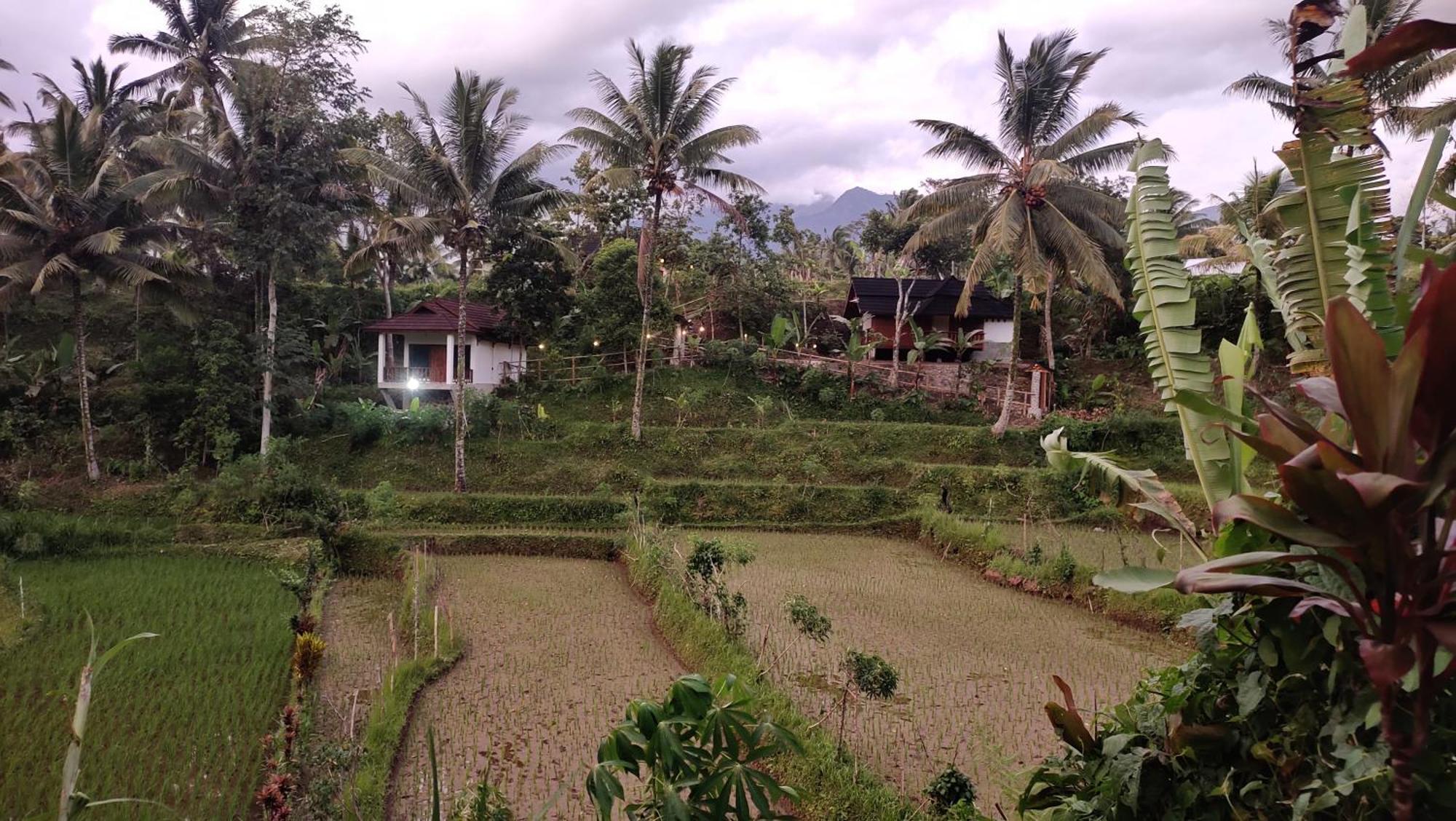 Nea Cottage Lombok Тетебату Екстер'єр фото
